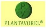 PlantaVorel